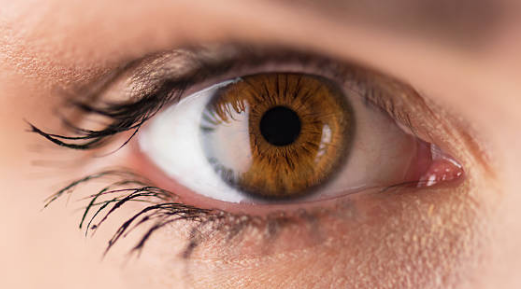 비문증 치료방법&amp;#44; 자연치유&amp;#44; 원인 총정리 (2024ver)