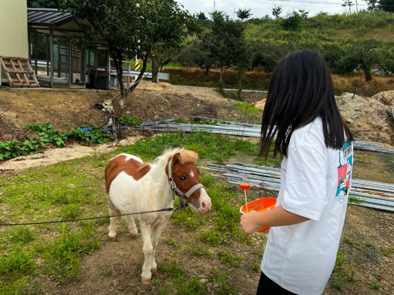 포니힐링농원