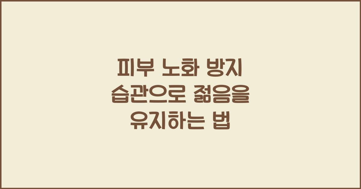 피부 노화 방지 습관