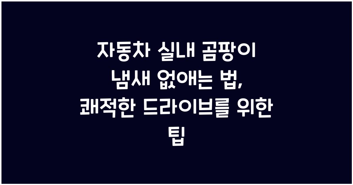 자동차 실내 곰팡이 냄새 없애는 법, 청결과 건강을 동시에 잡는 방법