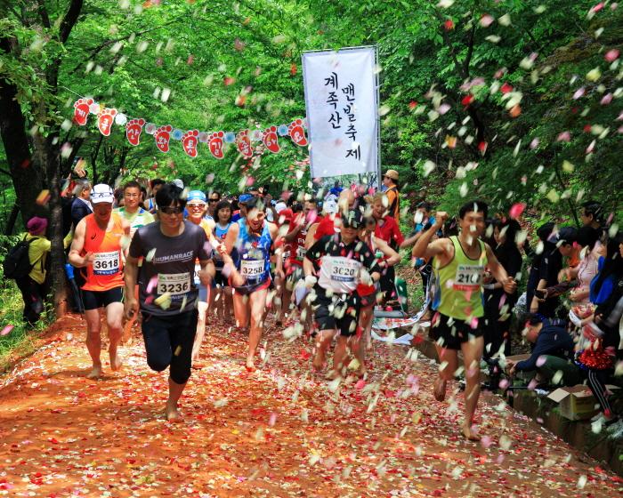 계족산 맨발축제