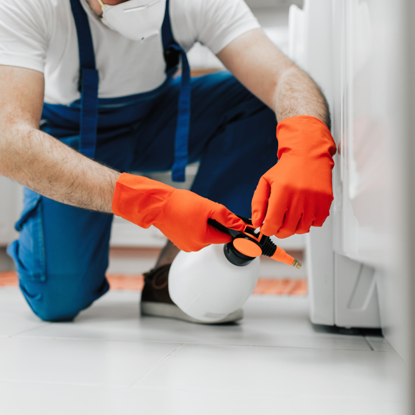 모기 퇴치 꿀팁_10