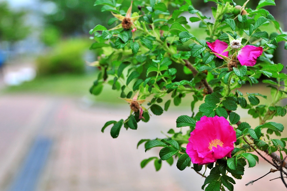 센텀 APEC 나루 공원