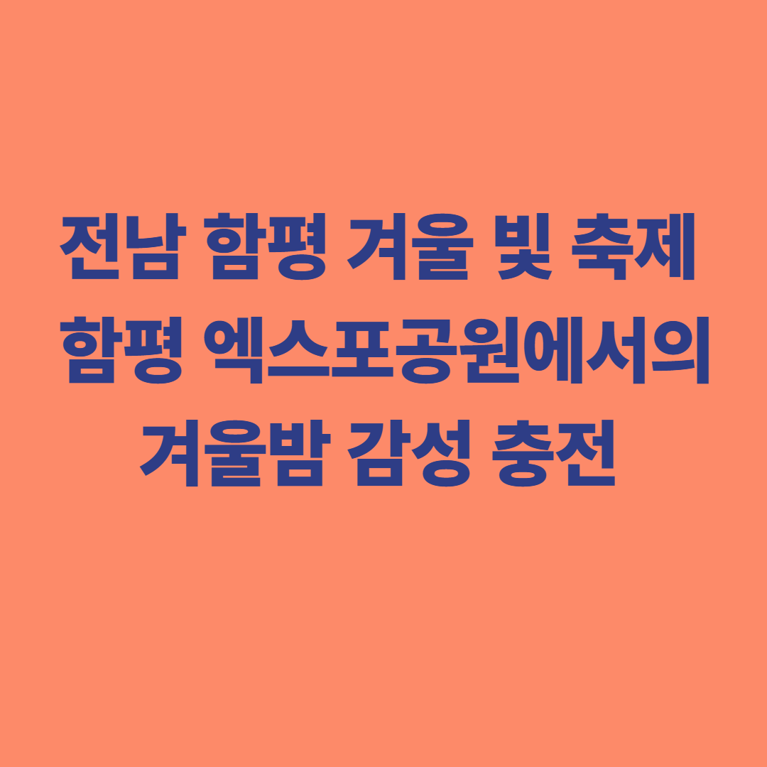 전남 함평 겨울 빛 축제