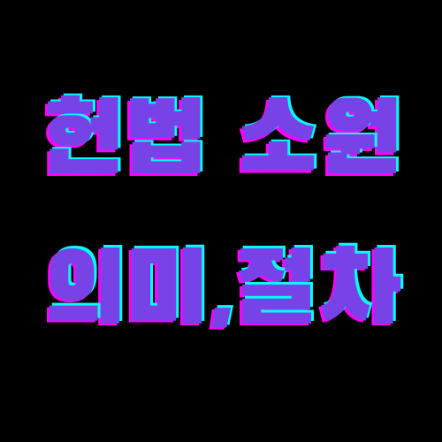 헌법소원절차