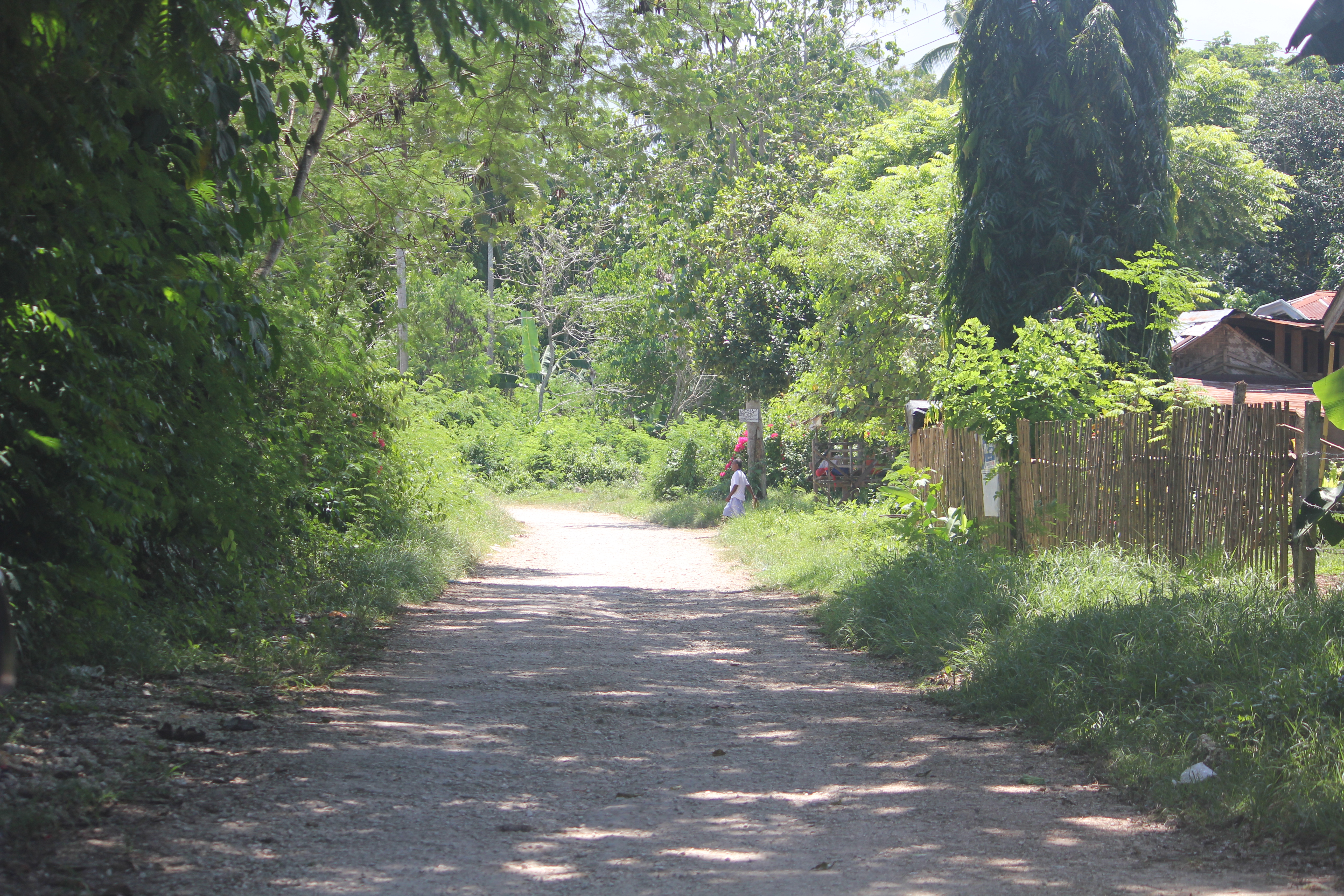 펄팜리조트가는길