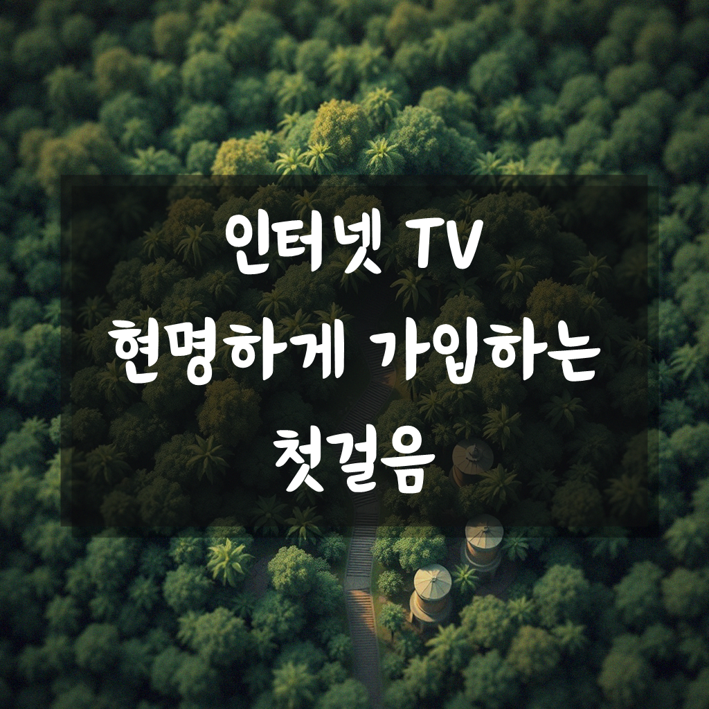 인터넷 TV, 뭐가 제일 괜찮은지 따져볼까요