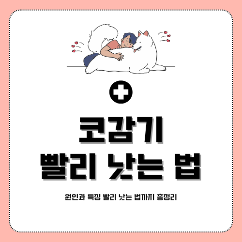 코감기 빨리 낫는 법 – 효과적인 치료와 예방법