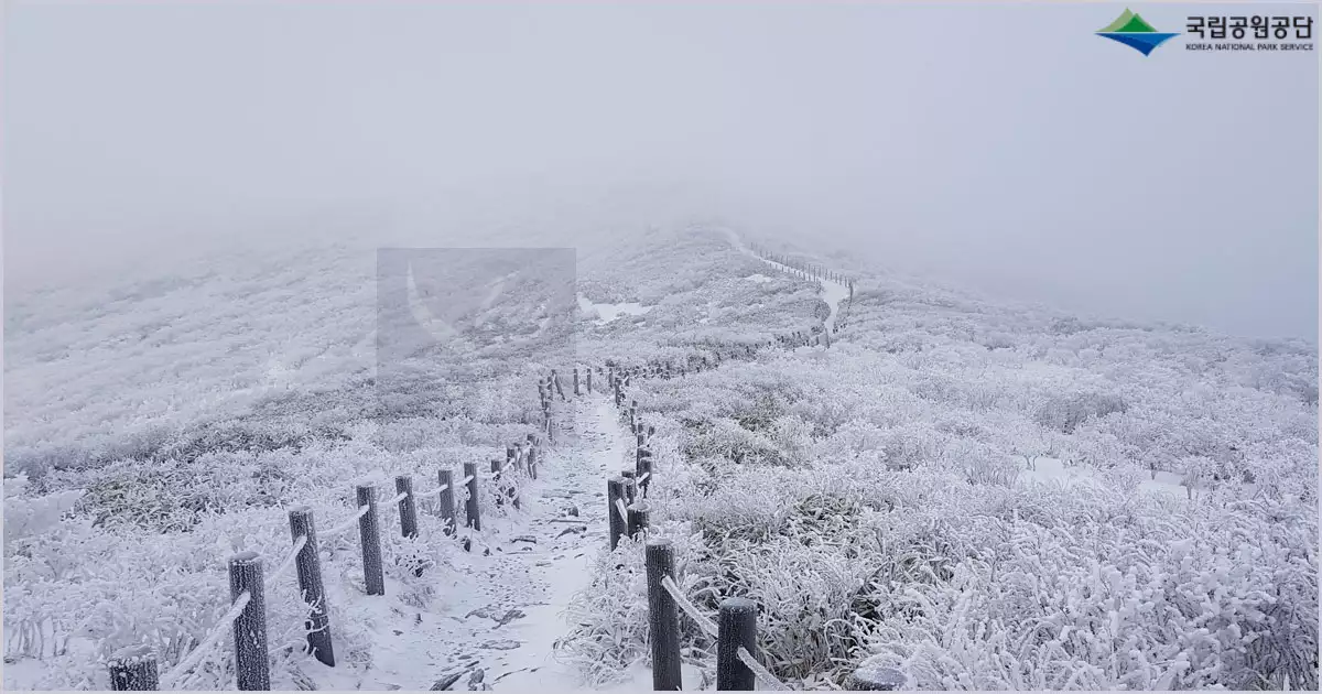 덕유산 설경