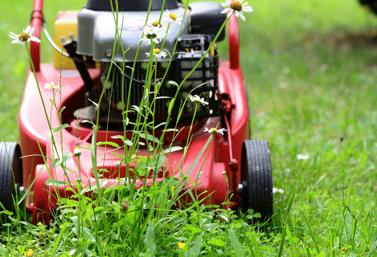 행복한 노후생활, 정원관리 잔디깍는 기계