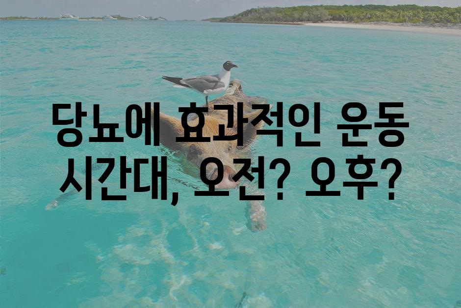 샘플 (1)