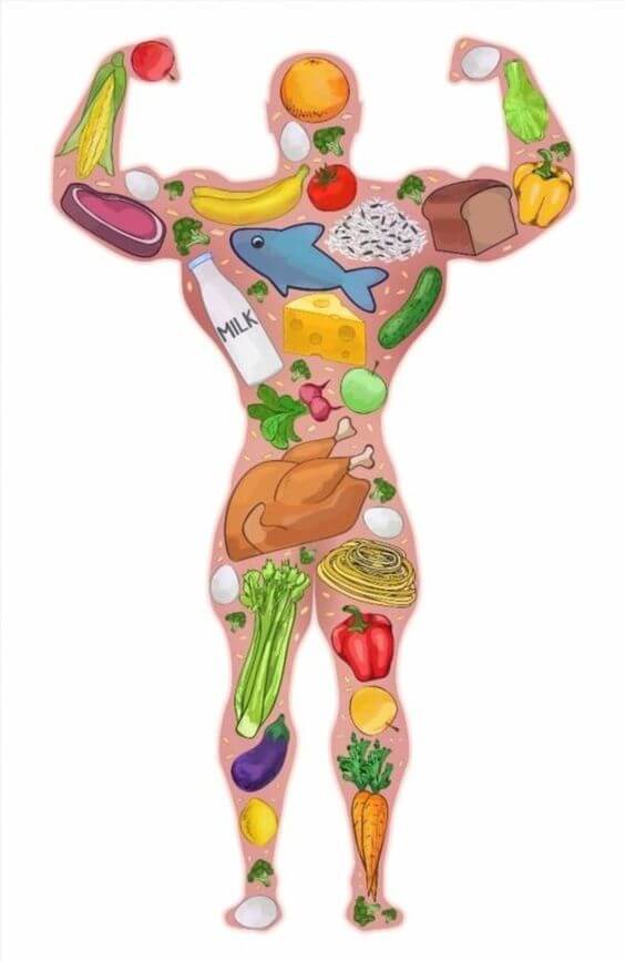 단백질 보충제 3