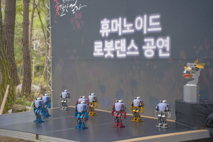 인제에서 꽃길만 걷자25