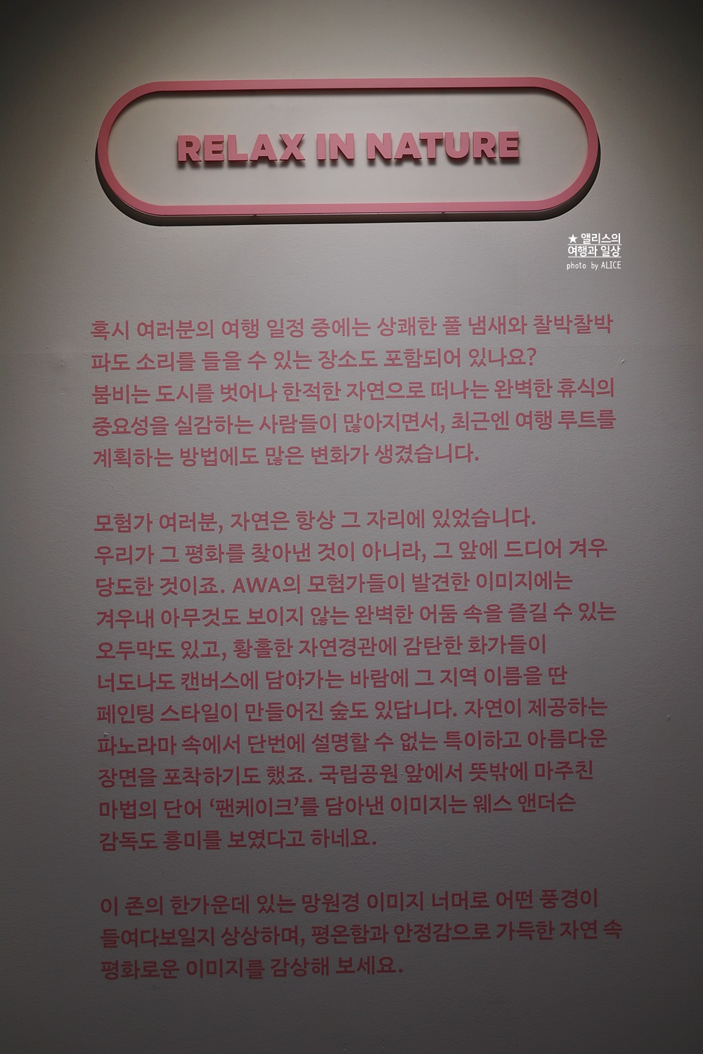 우연히 웨스 앤더슨 전시 추천, 그라운드 시소 성수