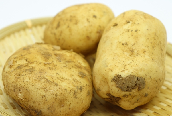 바구니에 담긴 감자