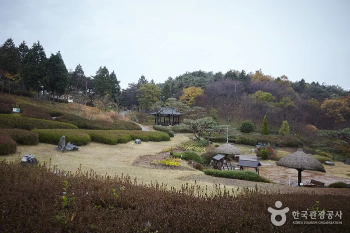 안면도수목원 가이드 : 입장료 할인부터 예약까지