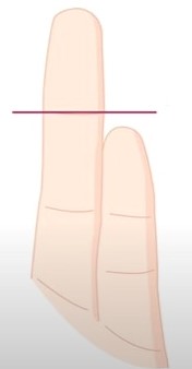 새끼손가락-약지-짧은