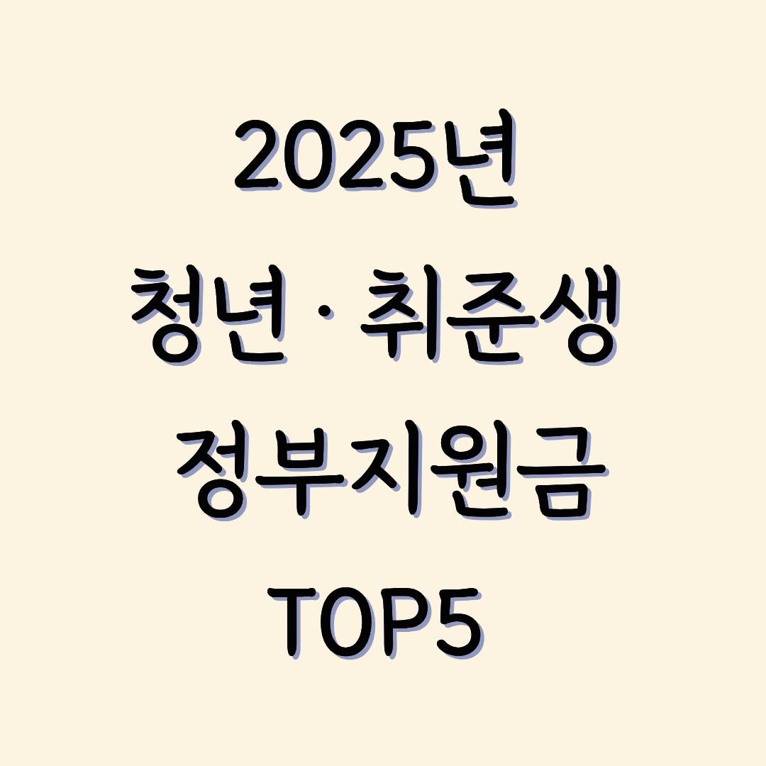 2025 청년·취준생 정부지원금 TOP5