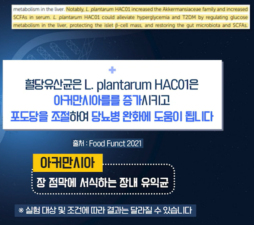 혈당 유산균
