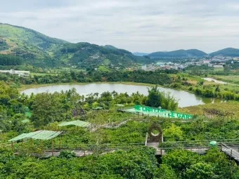 베트남 달랏 꽃마을 여행 코스 트래킹_10