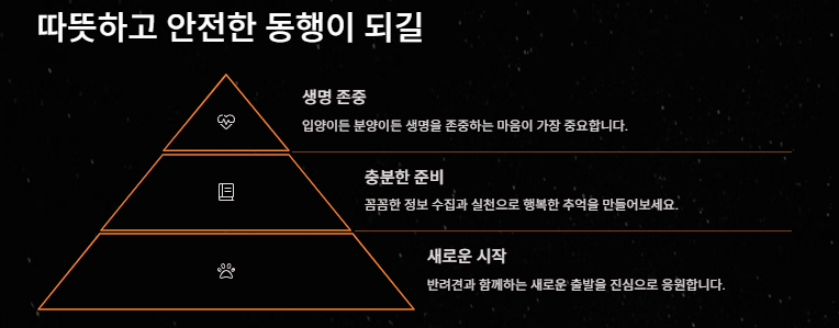 강아지 키우기: 초보견주를 위한 입분양부터 준비물 주의사항