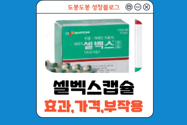 셀벡스캡슐 안내 이미지