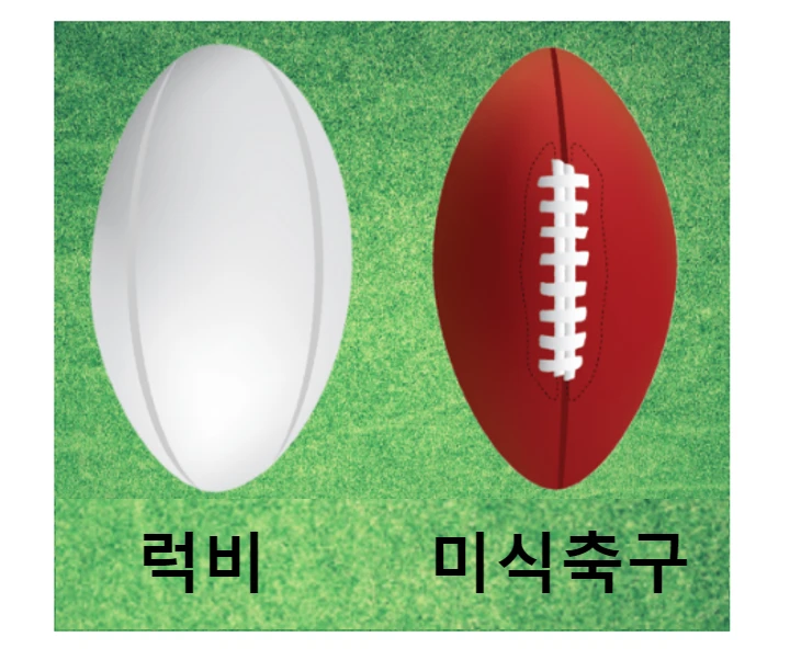 럭비와 미식축구의 공 사이즈