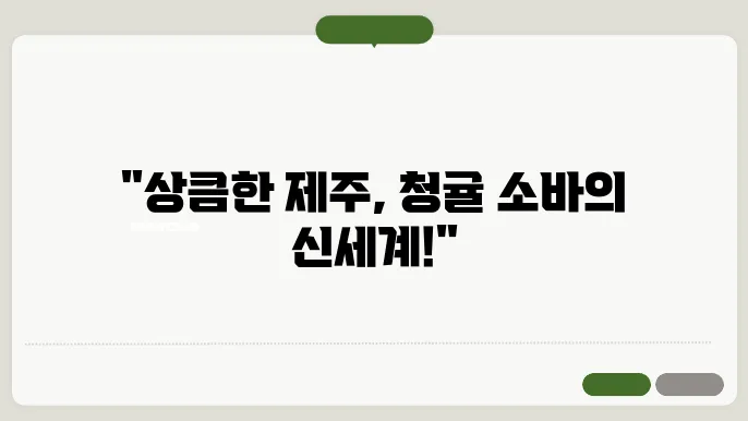제주 청귤소바