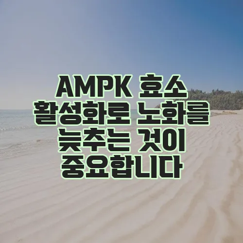 AMPK 효소 활성화로 노화를 늦추는 것이 중요합니다
