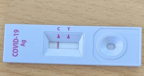 자가진단키트 판별