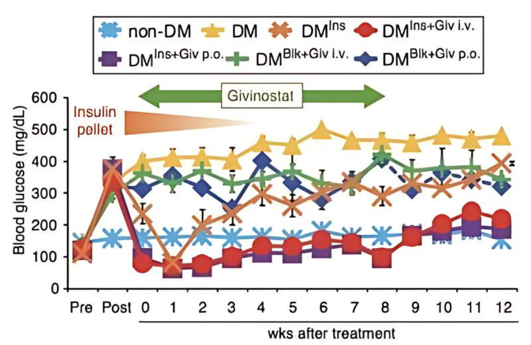 당뇨병 환자의 완전한 치유를 목표