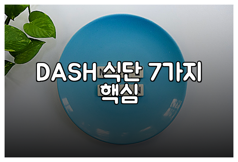 DASH 식단 7가지 핵심