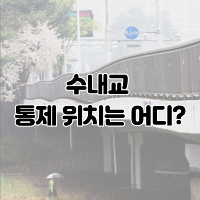 수내교