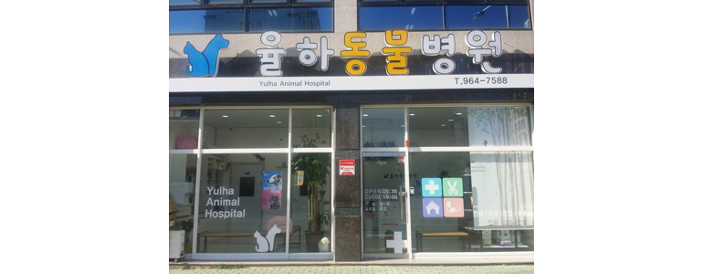 대구 동구 동물병원