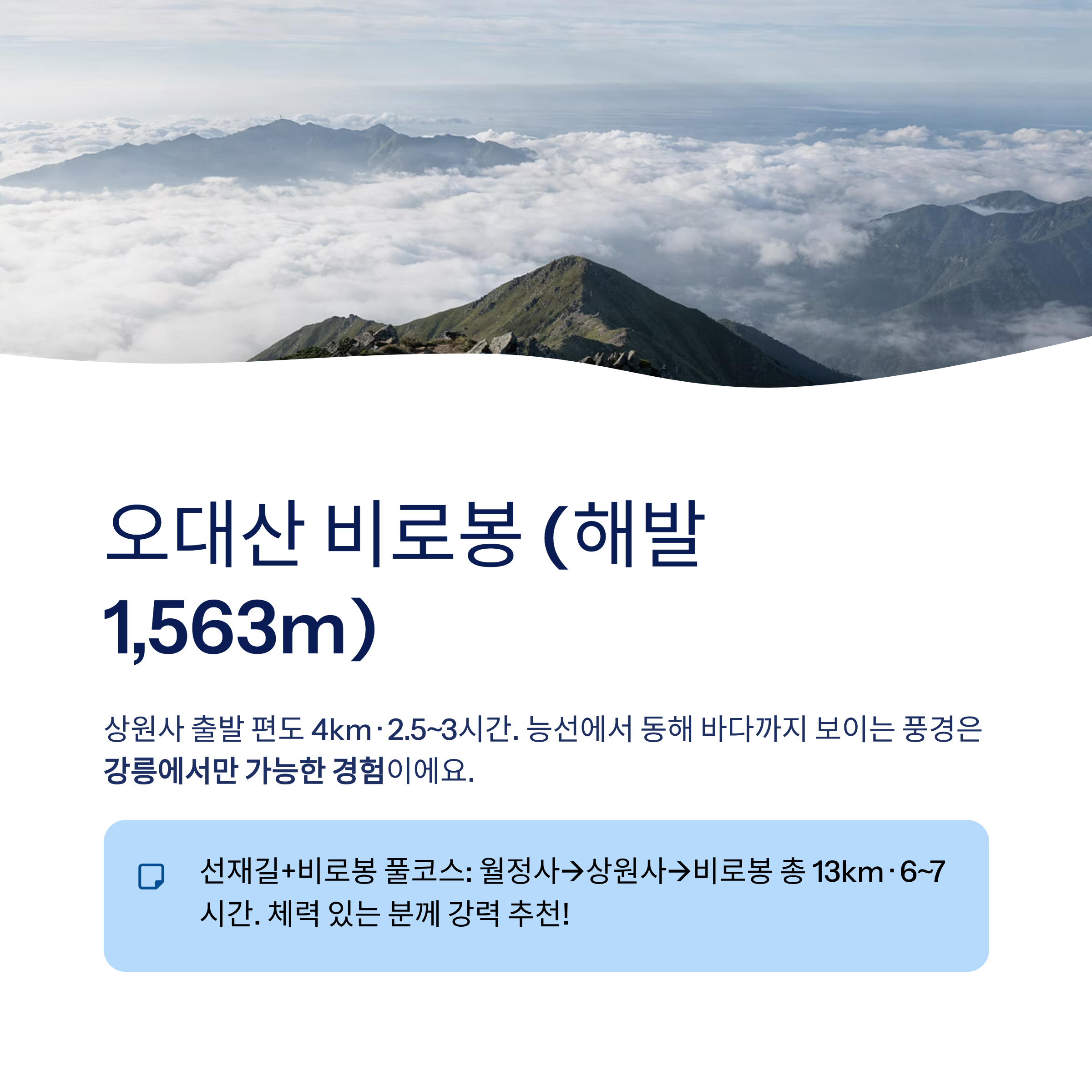 강릉 근교 산책 달리기 트레킹 코스 추천 ❘ 바다와 소나무 숲 사이를 걷는 법