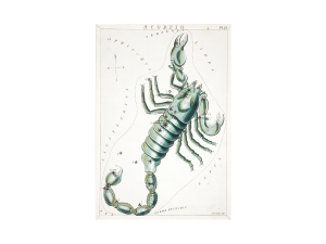 주간 별자리운세, 산수도인, 2023년 7월31일~8월6일