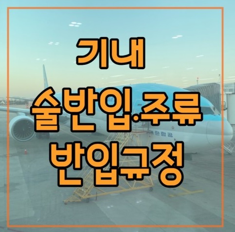 기내 술 반입 규정