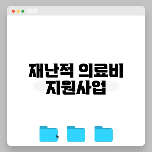 재난적 의료비 지원사업