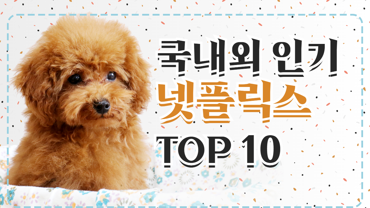 넷플릭스 인기 영화