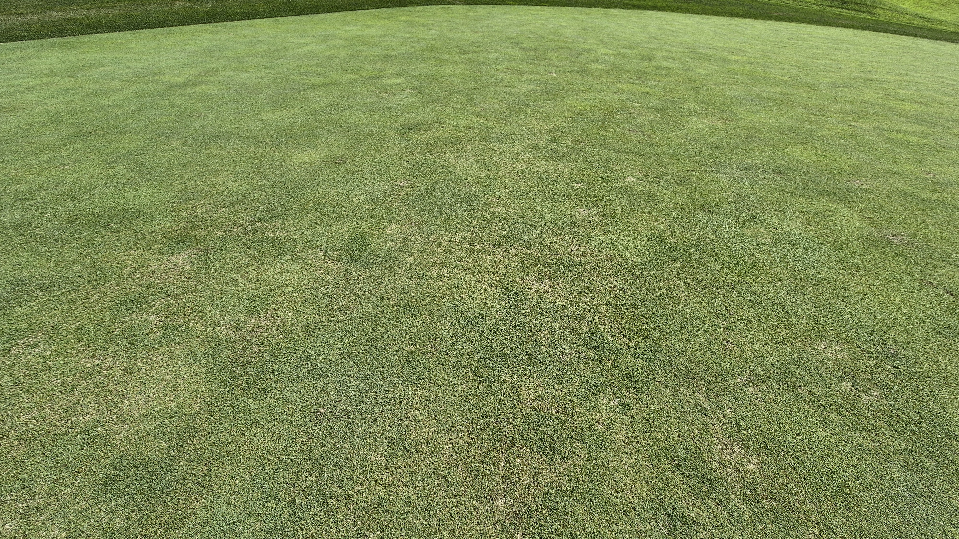 골프존카운티 안성H