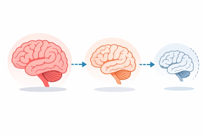알츠하이머 중기증상