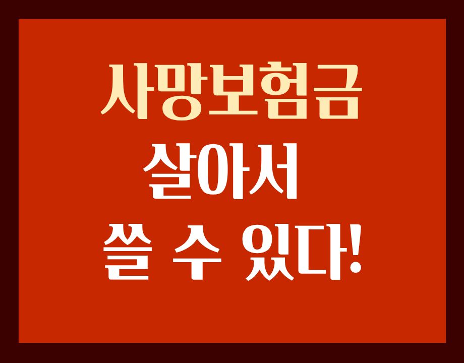 사망보험금 유동화