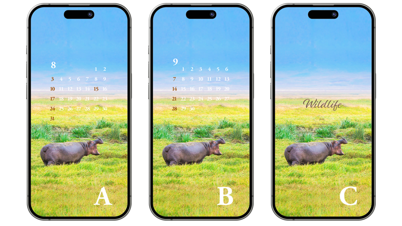 03 초원 위에 하마 ABC - 2025년8월 아이폰배경화면