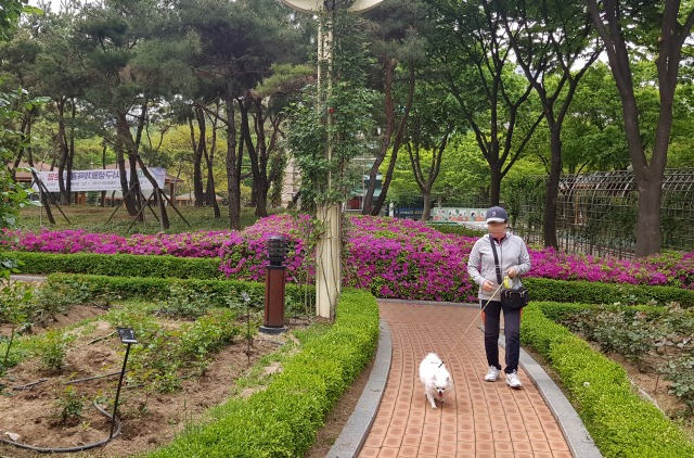 애견동반 드라이브 코스