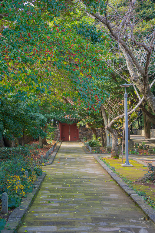 제주 삼성혈 길목
