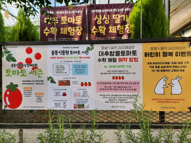 율봄식물원 수국 개화 시작! 광주 근교 수국 명소 완전 정복(개화시기, 입장료, 주차, 포토존 등)