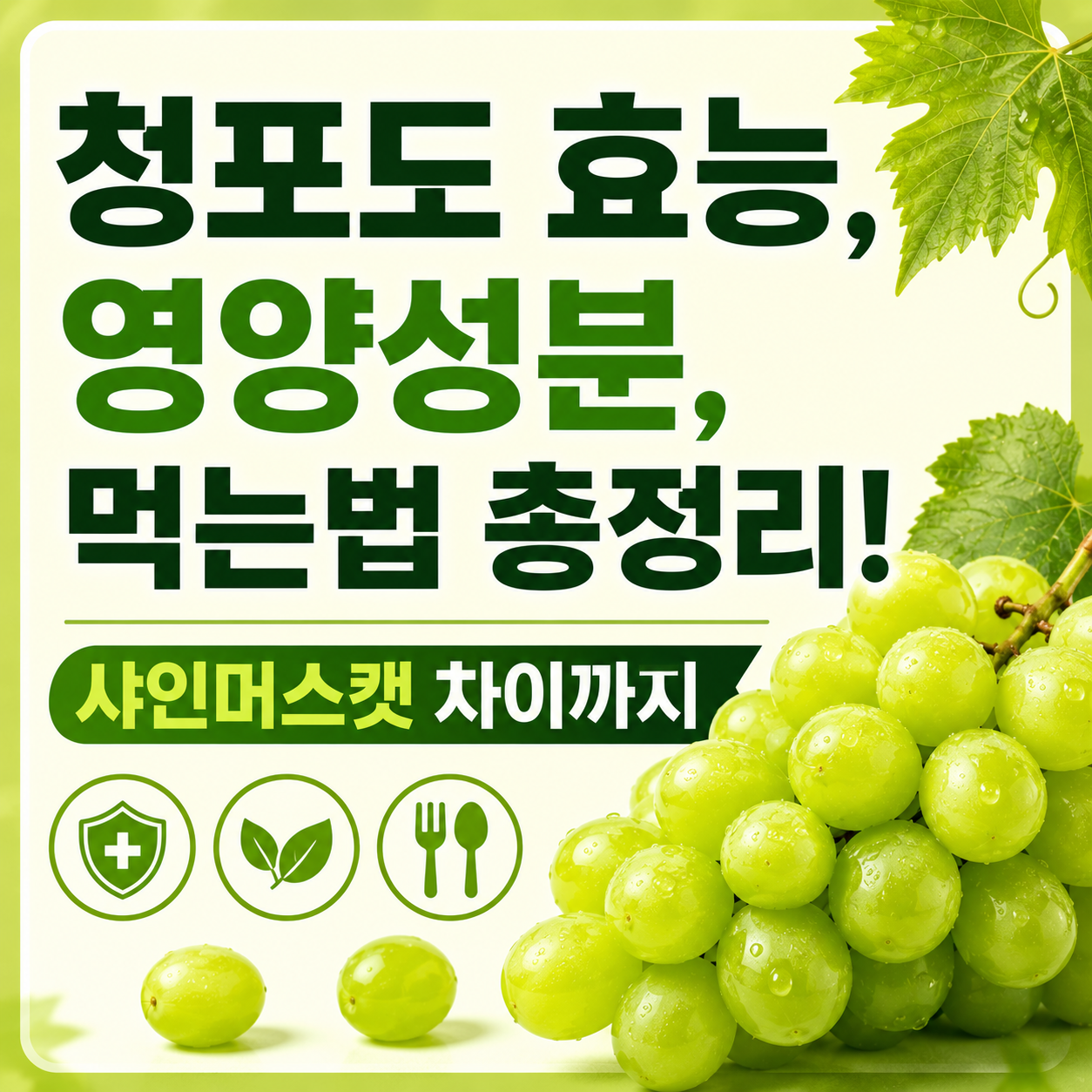 청포도 효능