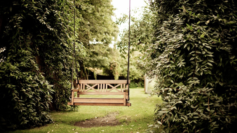 Bench in garden