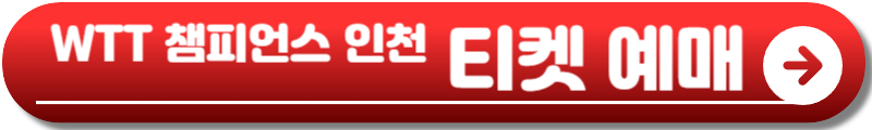 wtt인천