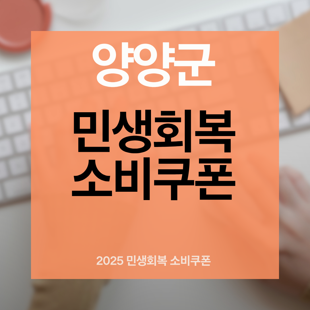 2025 양양군 민생회복 지원금